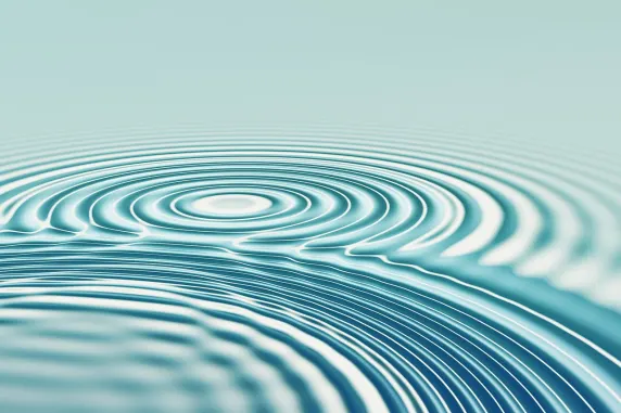 Zenbet Cazinou Suport